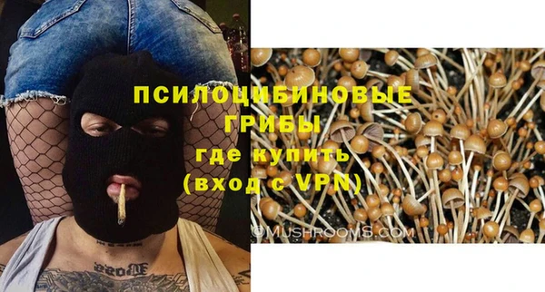MDMA Premium VHQ Аркадак