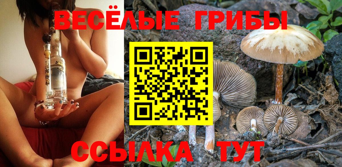 Тверь  Галлюциногенные грибы ЛСД  Вход с VPN  Галлюциногенные грибы Cubensis 